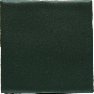 New Terracotta Black Evergreen Matt M865