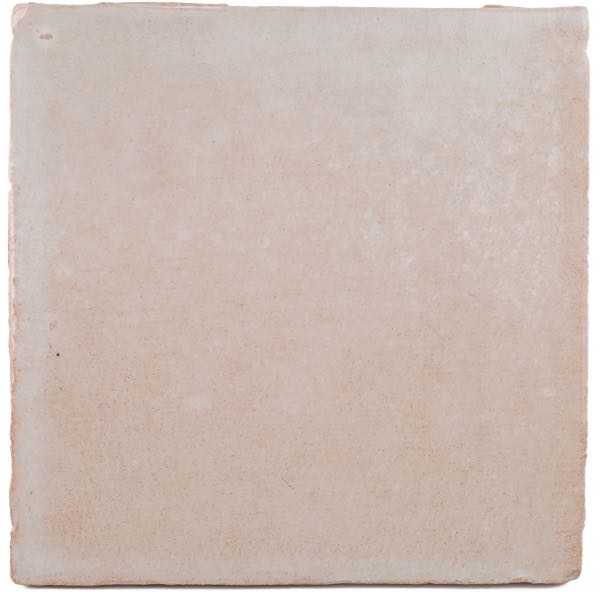 New Terracotta Oyster Mushroom White B025